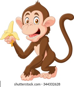 Cartoon funny monkey holding banana isolated on white background