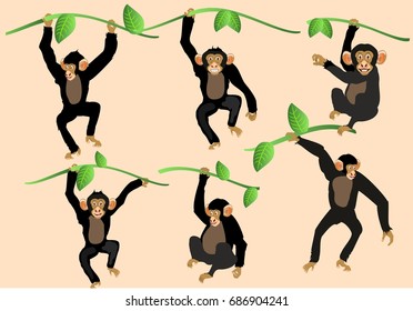 Cartoon funny monkeys vector set