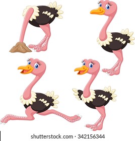 Cartoon funny ostrich collection set