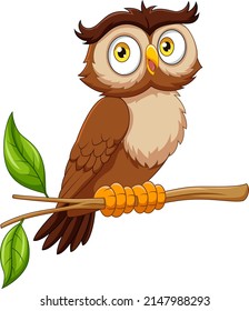 Cartoon funny owl on tree branch