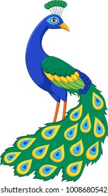 Cartoon funny peacock on white background