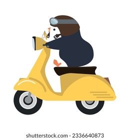 Cartoon funny penguin riding motorcycle