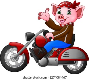 Cartoon funny Pig riding a motorcycle