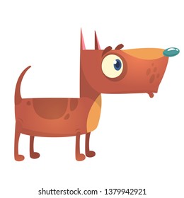 Cartoon funny pitbull dog. Vector illustration