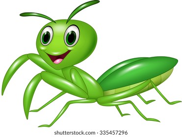 Cartoon funny praying mantis grasshopper isolated on white background 