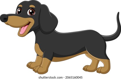 Cartoon funny purebred dachshund dog