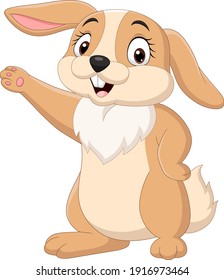 Cartoon funny rabbit isolated on white background