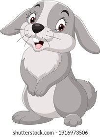 Cartoon funny rabbit isolated on white background