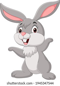 Cartoon funny rabbit isolated on white background