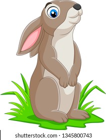 Cartoon funny rabbit on the grass