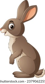 Caricatura de un conejo divertido con fondo blanco