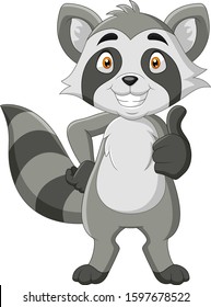 Cartoon funny Raccoon thumb up