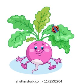 Cartoon funny radish sits on a glade whith the small ladybug on the leaf. Isolated on white background. Vector illustration.