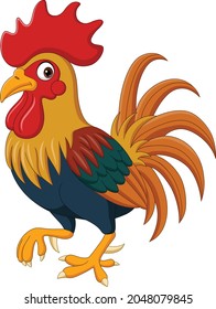 Cartoon funny rooster on white background