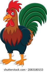 Cartoon funny rooster on white background