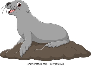 Cartoon funny seal on white background