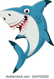 Cartoon funny shark isolated on white background