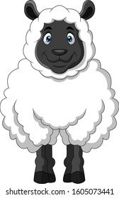 Cartoon funny sheep a smile