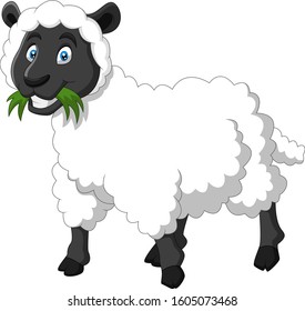 Cartoon funny sheep a smile