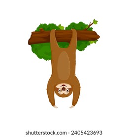 Cartoon funny sloth character wearing a goofy grin, dangles upside-down from a tree branch with its long, lazy limbs. Isolated vector lovable whimsical jungle forest animal personage hanging