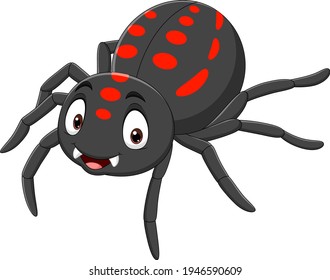 Cartoon funny spider on white background