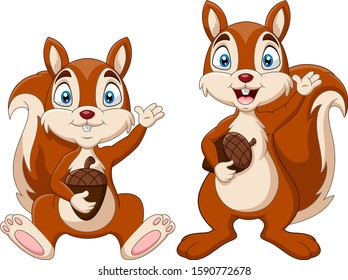 Cartoon funny squirrel holding nut