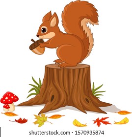 Cartoon funny squirrel holding pine cone on tree stump