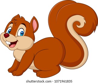 Cartoon funny squirrel isolated on white background