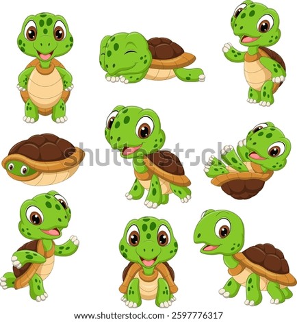 Cartoon funny tortoise collection set