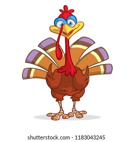 Cartoon Funny Turkey Character Thanksgiving Stock Vector (Royalty Free ...