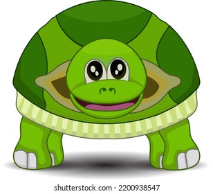 Cartoon funny turtle front view  isolated on white background