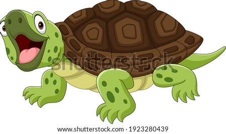 Cartoon funny turtle isolated on white background
