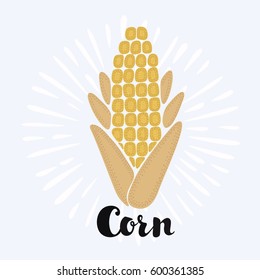 Cartoon funny vector illustration of corn with hand drawn lettering in vintage style