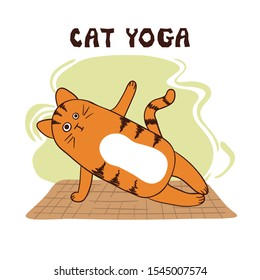 Cartoon funny yoga cat vector illustration. Yoga for kids.