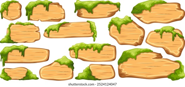 Cartoon game panels in jungle style with swamp moss, forest lichen. Set isolated wooden gui elements, boards for covers, applications, notebooks, mobile games. Vector signboards with space for text.