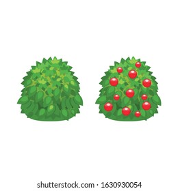 Cartoon garden bush set. Vector illustration on white backgrounds.