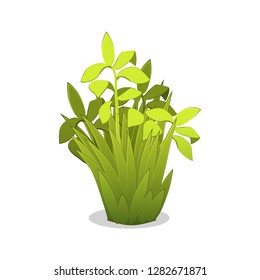 Cartoon garden bush. Vector illustration on white backgrounds.