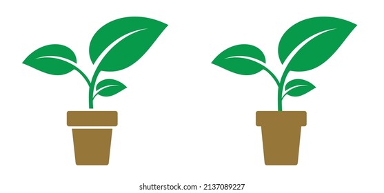 Cartoon garden plant in ceramic pot. Vector icon or pictogram. Flower pots pictogram. Spring time flowers. House, office potted plants silhouette. Leaf, growing tree. Flowerpot or houseplant eco logo.