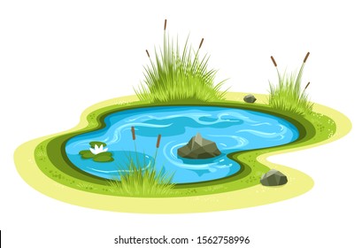 Cartoon garden pond. Small freshwater lake vector isolated with stones, colorful mere image