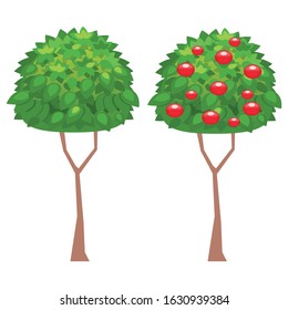 Cartoon garden tree. Vector illustration on white backgrounds.