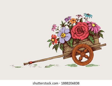 Cartoon garden wheelbarrow with flowers. Gardening flower cart isolated