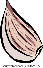 Cartoon Knoblauch Bulb Illustration Vektorgrafik