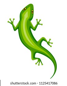 Cartoon gecko character. Small green lizard. Gecko logo design, flat icon. Vector illustration isolated on white background.