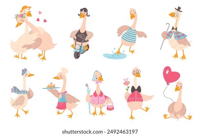 Cartoon geese. Cute goose driving motorbike and hugging, walking baking and touch water. Trending childish mascots, funny birds nowaday vector clipart