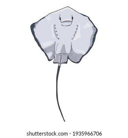 Cartoon Giant Stingray. Numb-fish Vector Illustration