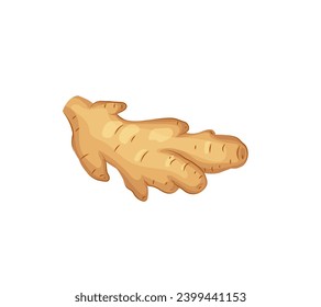Cartoon ginger isolated on white. Fresh ginger root icon. Healthy food concept. Vector illustration for food design.