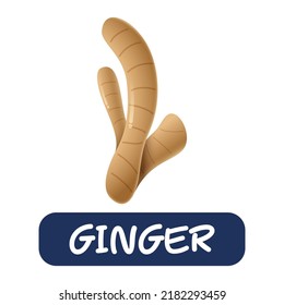cartoon ginger vegetables vector isolated on white background