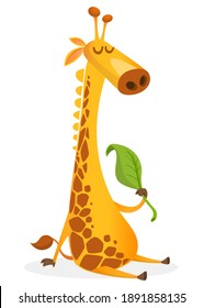 Cartoon giraffe character. Vector illustration funny giraffe eating a leaf and smiling. Great for sticker print or design
