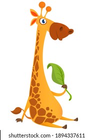 Cartoon giraffe character. Vector illustration funny giraffe eating a leaf and smiling. Great for sticker print or design
