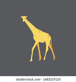 Cartoon giraffe. Cute Cartoon giraffe, Vector illustration on a gray background. Drawing for children.